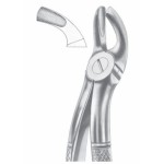 Fig. 19 upper third molars