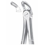 Fig. 21 lower molars