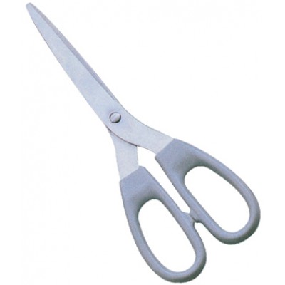 Plastic Handle Scissors