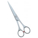 Barber Scissors