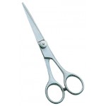 Barber Scissors