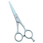 Barber Scissors