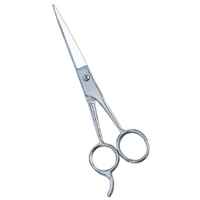 Barber Scissors