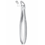 Fig. 20 upper third molars