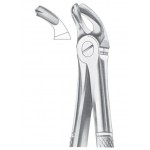  Fig. 21 lower molars