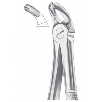  Fig. 21 lower molars