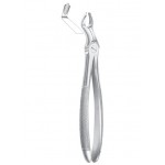 Fig. 67 �R upper third molars right