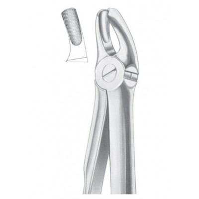 Fig. 18 upper molars left