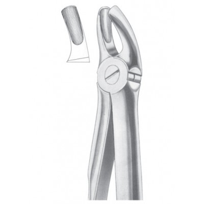  Fig. 18B upper molars