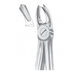  Fig. 65R upper molars right