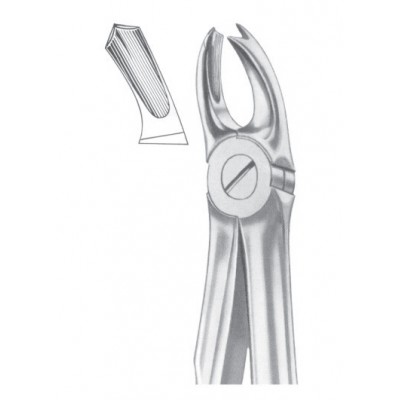  Fig. 65R upper molars right