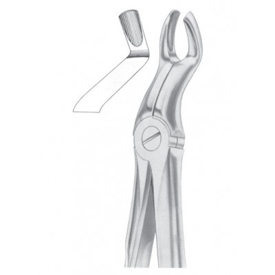  Fig. 67A upper third molars