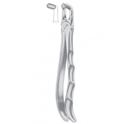  Fig. 79 lower third molars