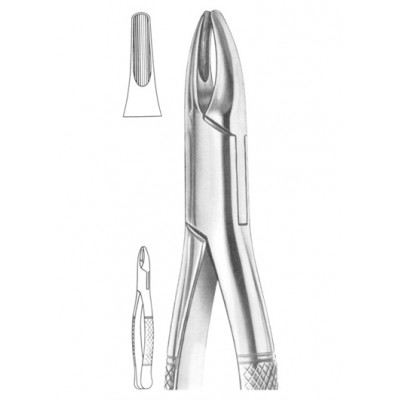  Fig. 1 upper incisors and roots