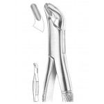 Fig. 4 upper and lower premolars