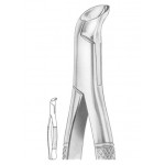 PHYSICK Fig. 5 lower third molars