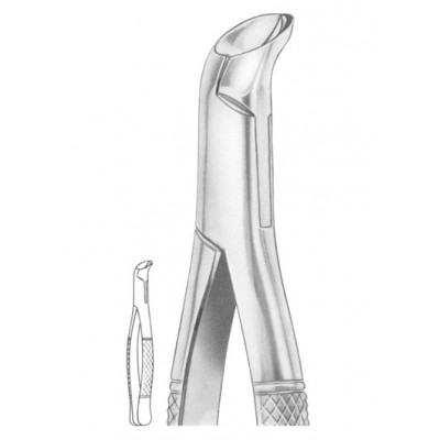 PHYSICK Fig. 5 lower third molars