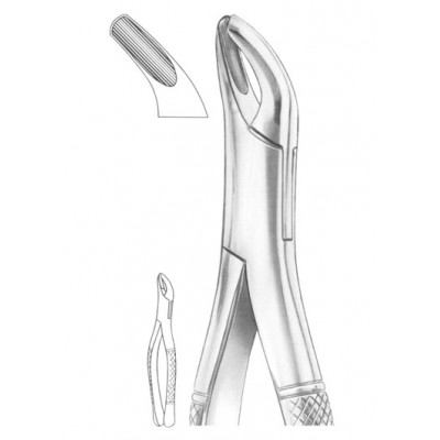 Fig. 8 upper and lower third molars