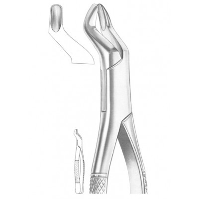  Fig. 10S upper molars