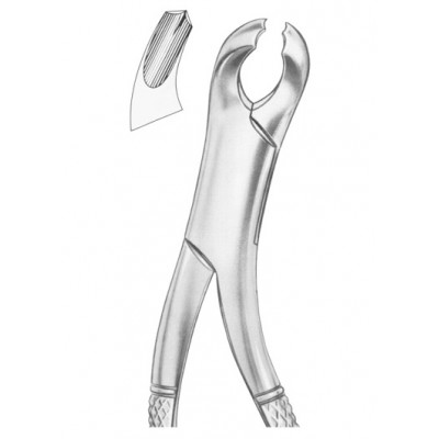  HARRIS Fig. 15 lower molars