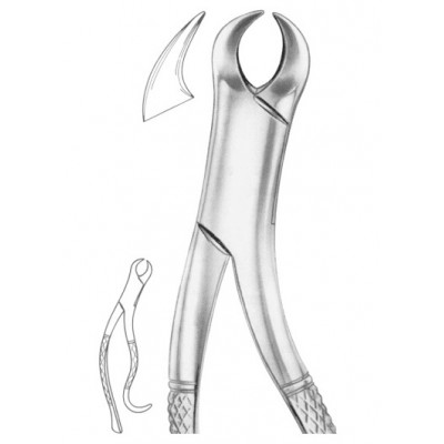  Fig. 16S lower molars for children1236 Fig. 16S lower molars for children