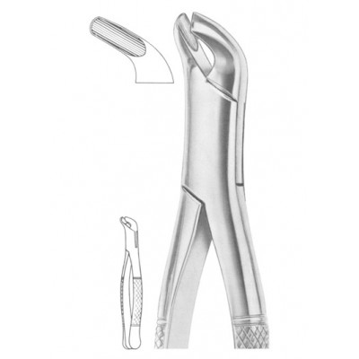  Fig. 27 lower molars