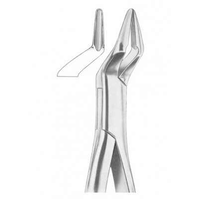  PARMLY Fig. 32A upper premolars and roots