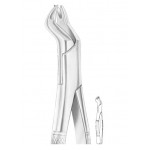 NEVIUS Fig. 88R upper molars right