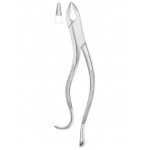 KELLS Fig. 99A upper incisors, canines, premolars