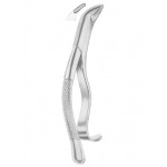  Fig. 103 lower incisors, premolars