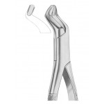  Fig. 210S upper third molars