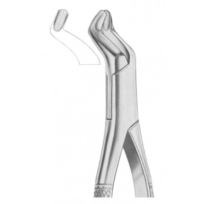  Fig. 210S upper third molars