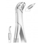  WOODWARD Fig. 335/FS lower molars