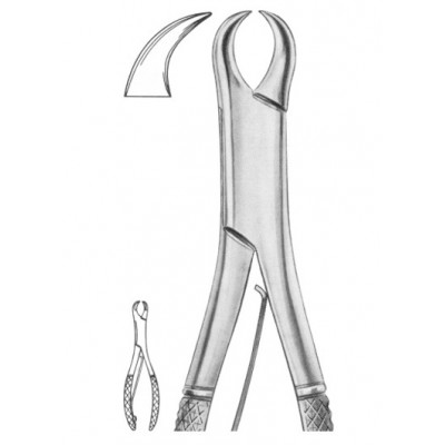  Fig. 355/23SK lower molars